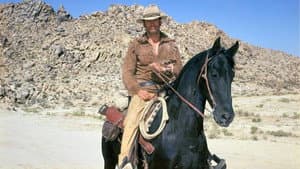 Hondo — foto 1