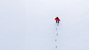 Footsteps in the Snow — foto 1