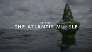 The Atlantis Mussels — foto 1