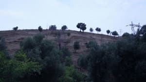 و کیارستمی ادامه دارد — foto 1