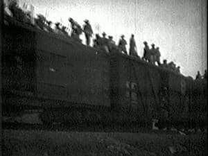 Episodio 29