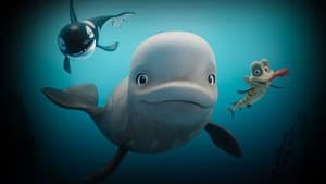 Katak la pequeña ballena — foto 3