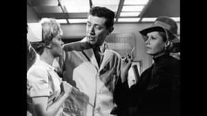 The Nurses — foto 1