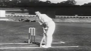 How to Play Cricket — foto 1