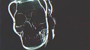 Trick — foto 4