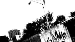 Velocity Into Execution — foto 1