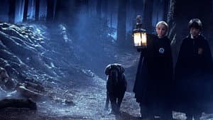 Harry Potter und ein Stein — foto 1