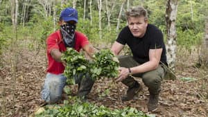 Gordon Ramsay on Cocaine — foto 1