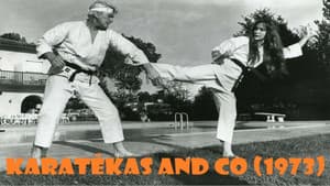 Karatékas and Co — foto 1