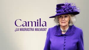 Queen Camilla: the Wicked Stepmother? — foto 1