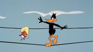Daffy Rents — foto 1