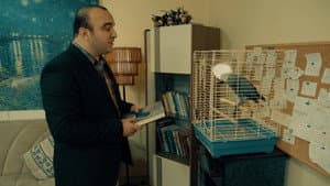 The Librarian — foto 5