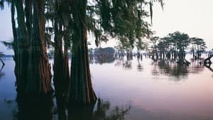 Earth's Great Rivers — foto 6