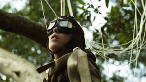 Canopy — foto 1