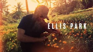 Ellis Park — foto 4