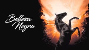Belleza Negra — foto 4