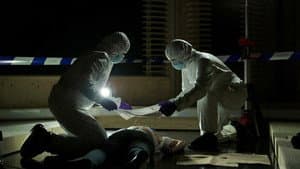 Episodio 8