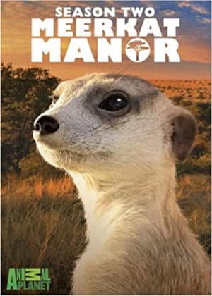 Temporada 2