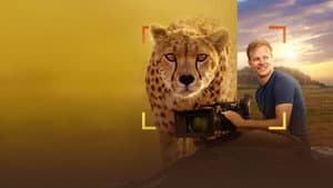 Cheetahs Up Close with Bertie Gregory — foto 2