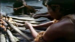 Ultime grida dalla savana — foto 1