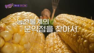 Episodio 95