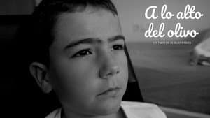A lo alto del olivo — foto 2