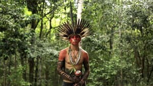 Aprendiz de chamán mukunã — foto 1