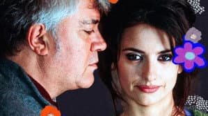 Almodóvar, l'insolent de la Mancha — foto 2