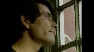 Cita con el amor