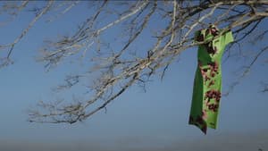 El Affaire Miu Miu — foto 4
