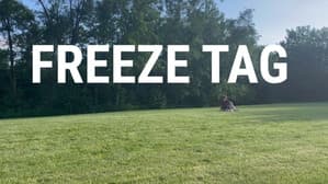 Freeze Tag — foto 3