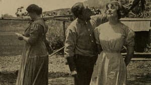 The Corporation and the Ranch Girl — foto 1