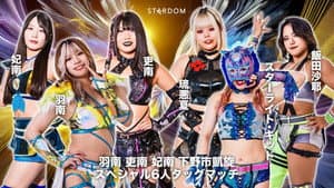 第14回 ゴッデス・オブ・スターダム ～タッグリーグ戦～ 羽南・吏南・妃南 下野市凱旋記念興行 — foto 1