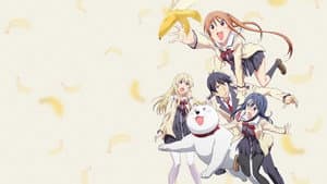 AHO-GIRL — foto 3