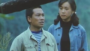老板哥和电妹子 — foto 1