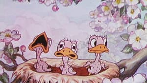 Birds in the Spring — foto 1
