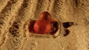 28 Eggs Later — foto 7