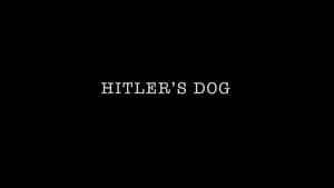 Norm Macdonald: Hitler's Dog, Gossip & Trickery — foto 4
