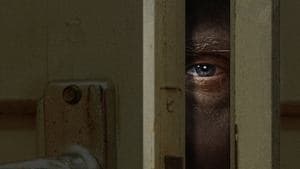 Los peores compañeros de casa del mundo — foto 3