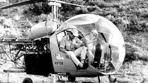 Whirlybirds — foto 1