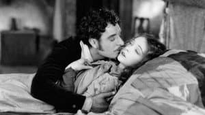 La Bohème — foto 12