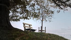 Die Weisse Arche — foto 1