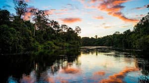 Earth's Great Rivers — foto 1