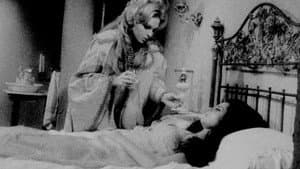 Cuadecuc, vampir — foto 7