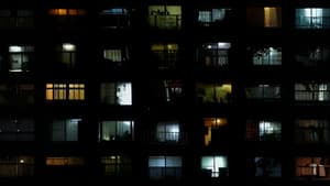 Analife — foto 12