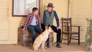 Buckley's Chance — foto 6