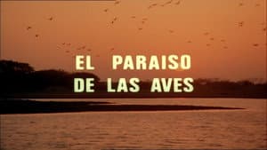 Episodio 14