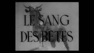 Le Sang des bêtes — foto 2