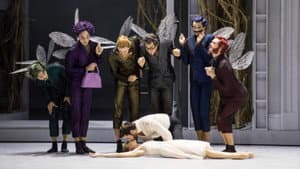 Dornröschen - Aus dem Opernhaus Zürich — foto 1