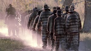 Convicts — foto 1